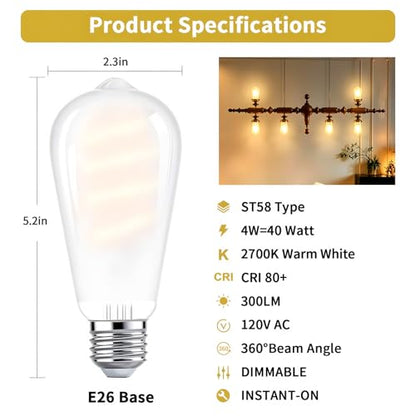 E26 Edison Bulbs