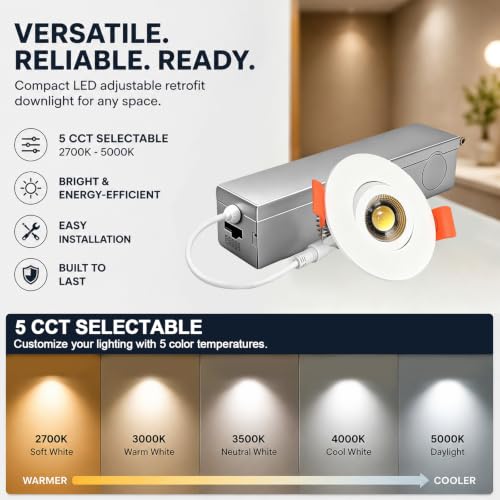 Gimbal LED Recessed Light