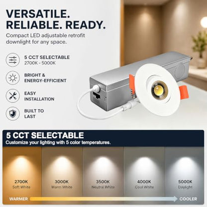 Gimbal LED Recessed Light