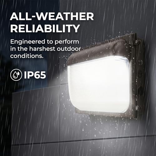 Dimmable LED Wall Pac Light