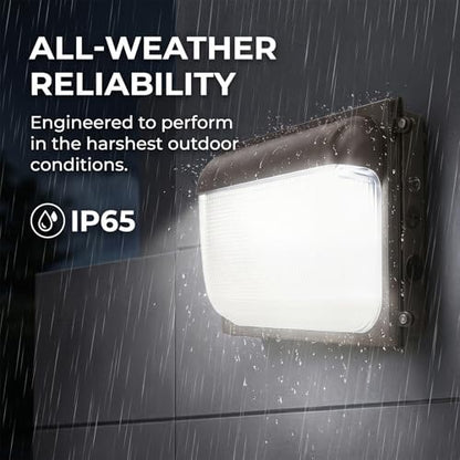 Dimmable LED Wall Pac Light