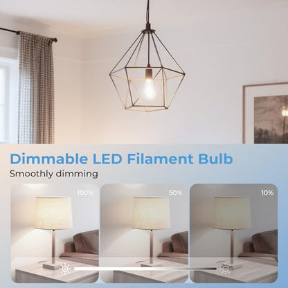 Stepless Dimmable A19 LED Edison Bulbs