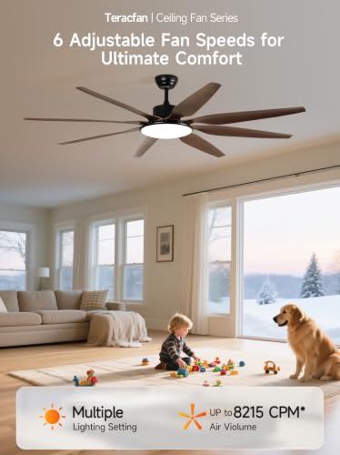 72 Inch Ceiling Fans