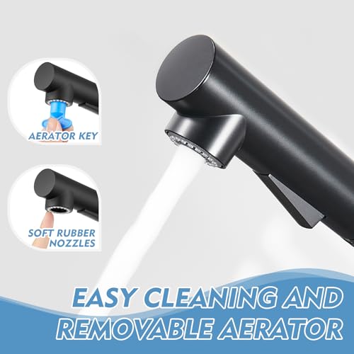 Kitchen Faucet with Pull Down Sprayer Bar Faucets Single Hole
