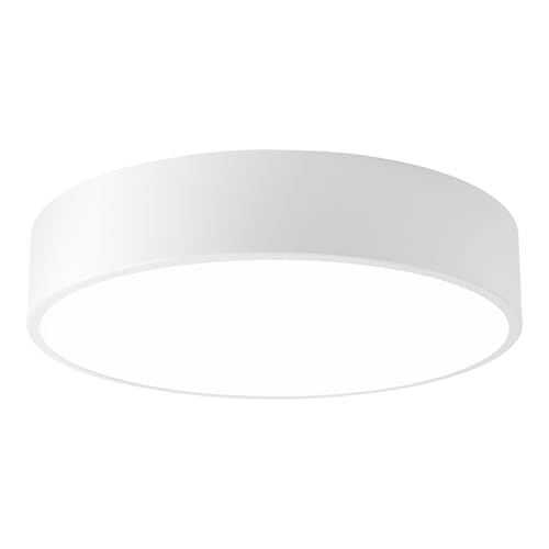 LED Ceiling Light