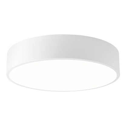 LED Ceiling Light