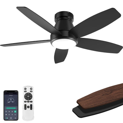 42 Inch Ceiling Fans with Lights (Black / 42 Inch)
