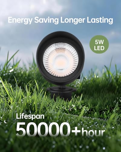 Low Voltage Landscape Lighting