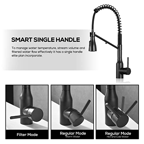 Kitchen Faucet with Pull Down Sprayer and Pot Filler