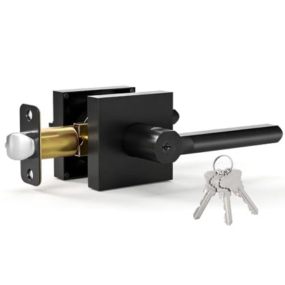 Entry Door Handles with Lock and Key (Matte Black)