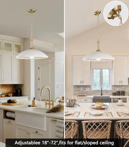 1 Light Pendant Light Fixture