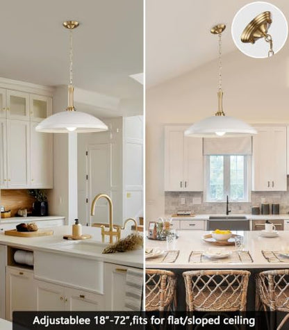 1 Light Pendant Light Fixture