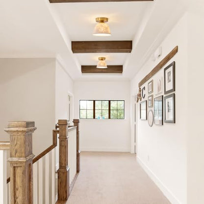 Ceramic Ceiling Light
