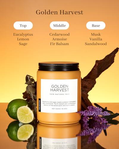 Goldenharvest Scented Candle Fruit Grain Fragrance for Autumn Home (Large Jar / Golden Harvest)