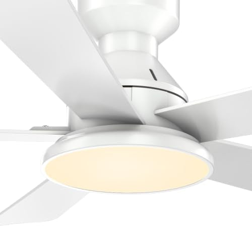 Ceiling Fans with Lights