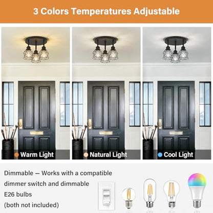 Kitchen Flush Mount Ceiling Light