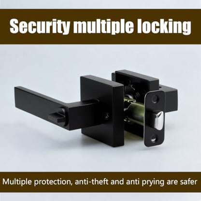 Privacy Door Handle with Lock
