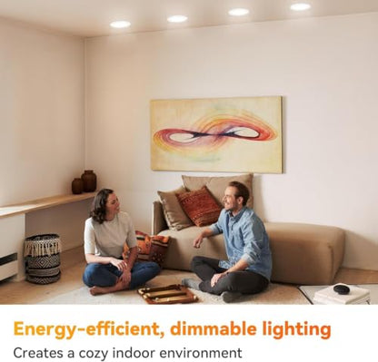 BR30 Flood Light Bulb Indoor