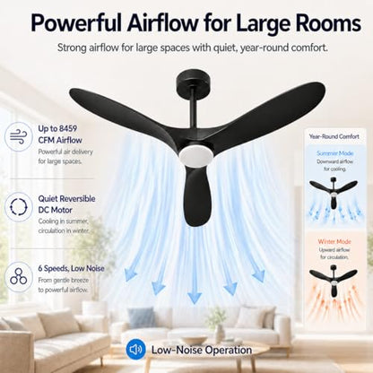 Modern Propeller Ceiling Fan with Light