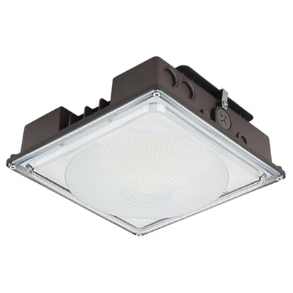 60W LED Canopy Light