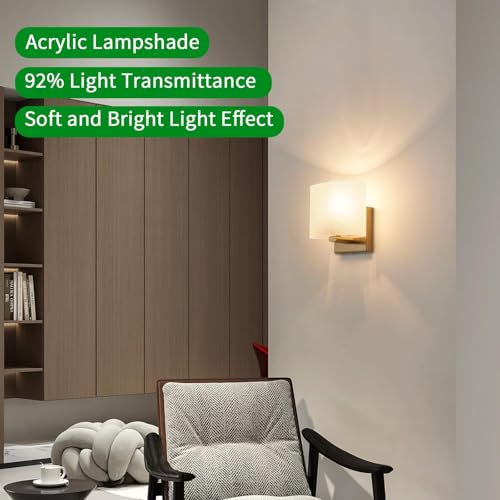 Modern Acrylic Shade Wall Light Fixture