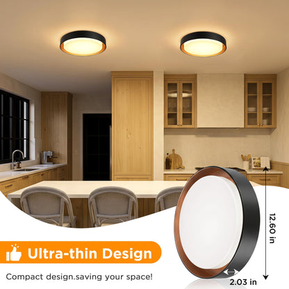 2 Pack Flush Mount Ceiling Light (Matte Black)