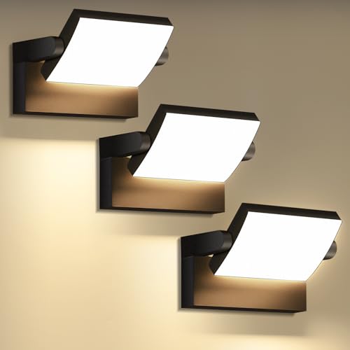 40W Outdoor led wall Light