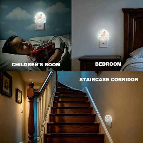 Night Light Cardinal Night Lights Plug into Wall with Dusk to Dawn Smart Sensor for Bedroom Bathroom Hallway Kitchen (Cardinal 03)