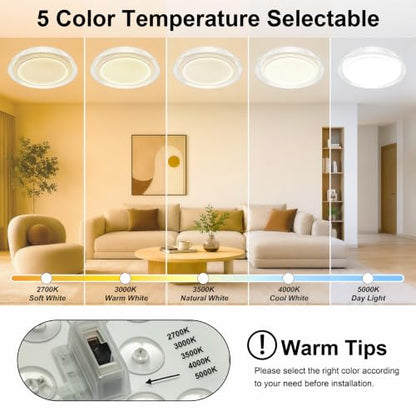 Modern LED Flush Mount Ceiling Light