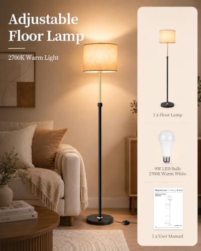 Upgraded】Floor Lamp for Living Room & Bedroom (Black Gold 2700K)