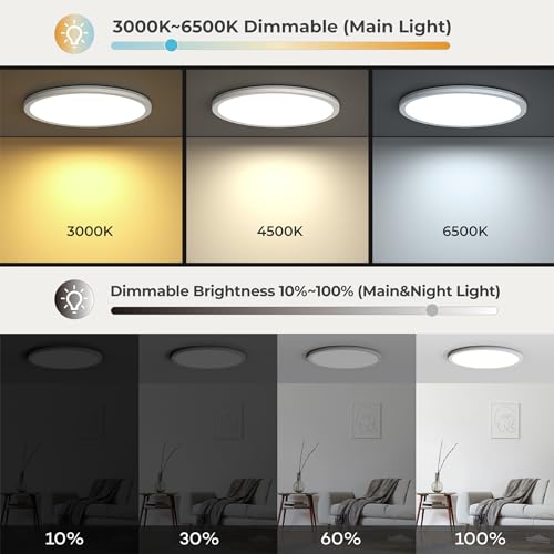 12in LED Flush Mount Ceiling Light Fixture with Remote Control