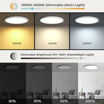 12in LED Flush Mount Ceiling Light Fixture with Remote Control