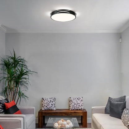Modern Flush Mount Ceiling Light Fixture