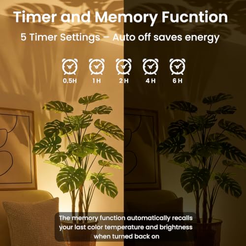 2 Pack Uplighting Indoor Floor Can Lights