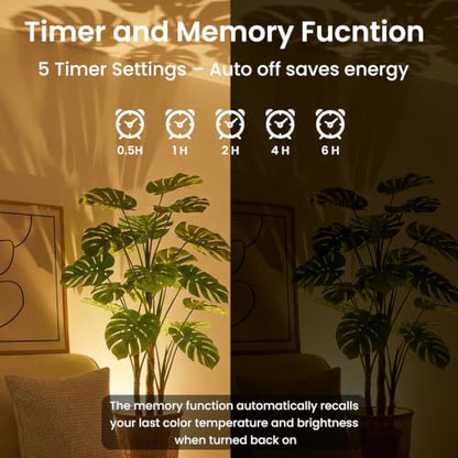 2 Pack Uplighting Indoor Floor Can Lights