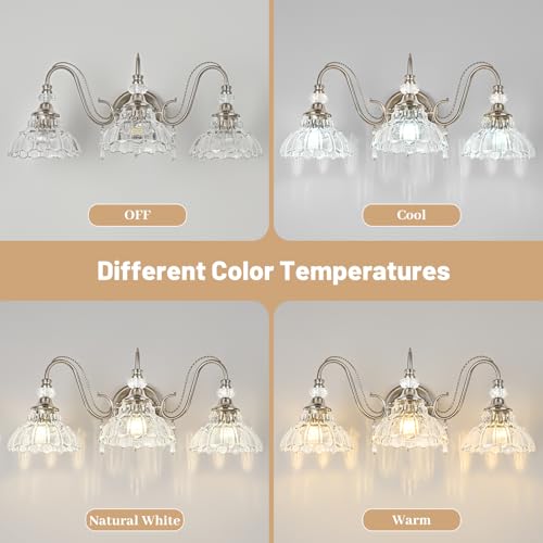 Brushed Nickel Bathroom Vanity Light (Nickel / 3-Light)