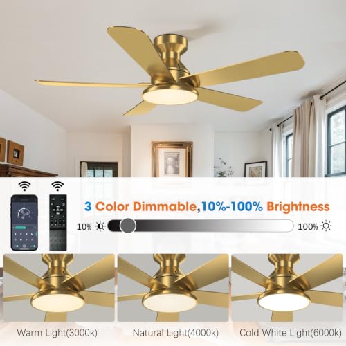 Ceiling Fans with Lights