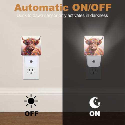 Night Lights Plug into Wall (Highland Cow)
