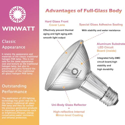 LED Light Bulbs PAR30L Full Glass Commercial Grade