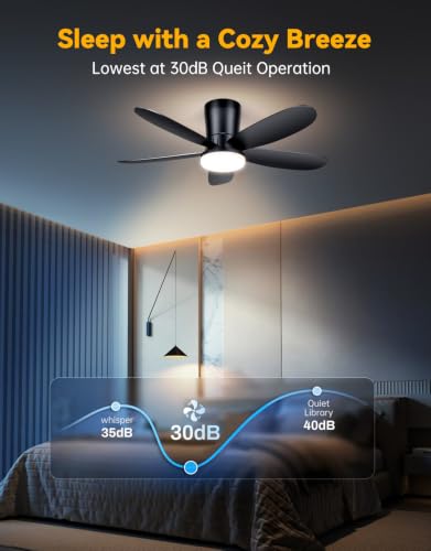 Ceiling Fans with Lights