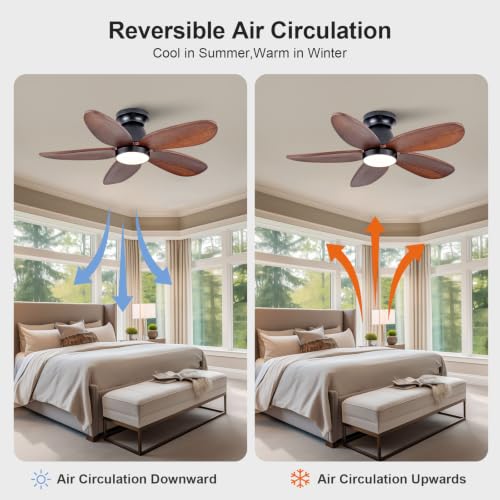 Ceiling Fan with Light
