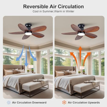 Ceiling Fan with Light