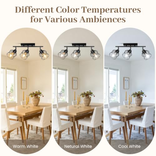Black Semi Flush Mount Ceiling Light with Metal Cage