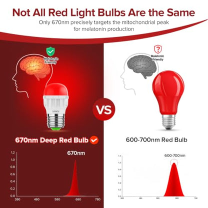 5W Red Light Bulb 3Pack