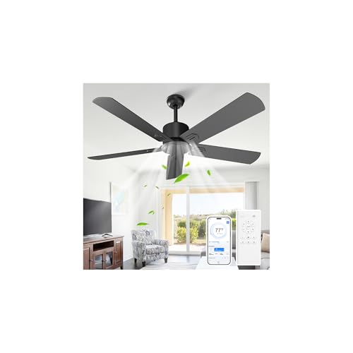 Black Ceiling Fan