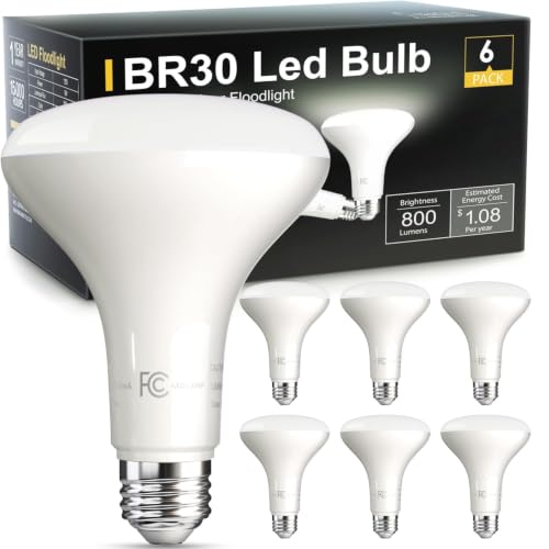 BR30 Flood Light Bulb Indoor