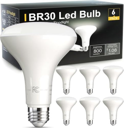 BR30 Flood Light Bulb Indoor