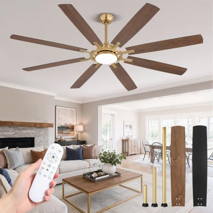 Large Ceiling Fans with Lights