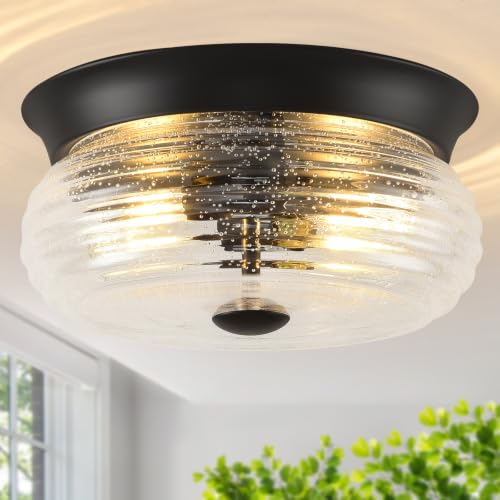Flush Mount Ceiling Light Fixtures