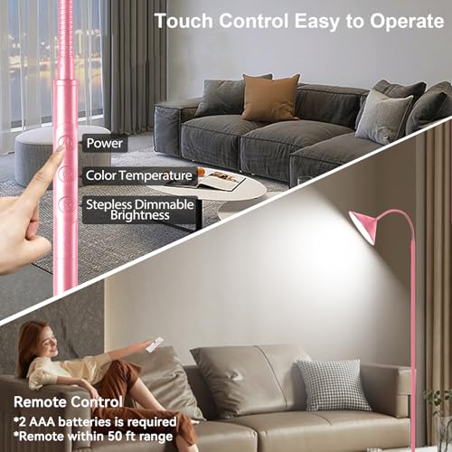 LED Floor Lamp